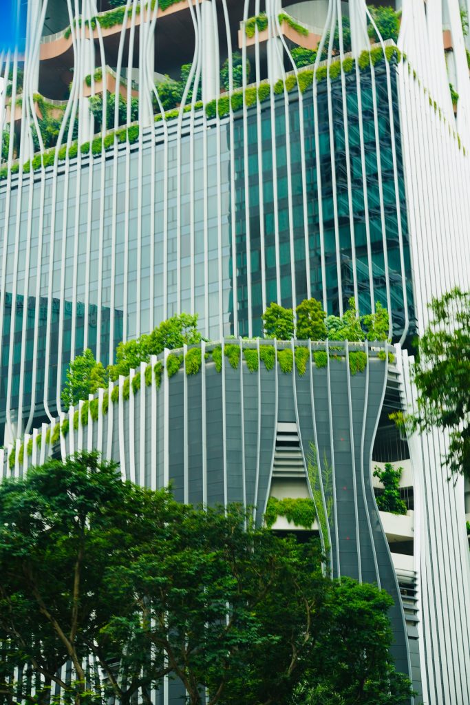 rahul-singh-bhadoriya-5aMuLXs4Cw0-unsplash